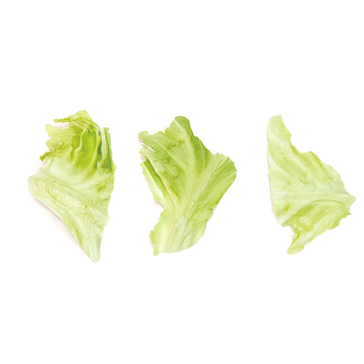 Freeze-dried cabbage